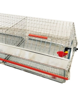 Fürjketrec 50 db-os