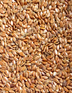 Lenmag Barna takarmány