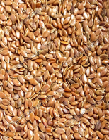 Lenmag Barna - horgászathoz