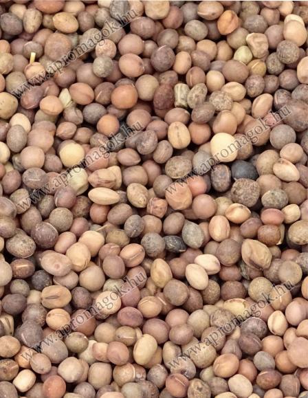 Tavaszi Bükköny Vetőmag