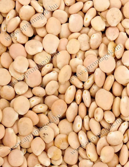 Csillagfürt Nelly édes - horgászathoz