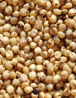 Cirok Fehér Takarmány