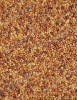 Fehérhere Fémzárolt Vetőmag