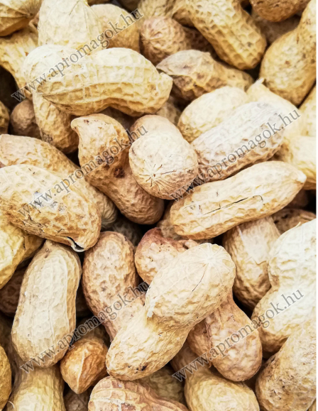 Földimogyoró Héjas Pörkölt