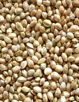 Kendermag - takarmányozási célú