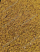 Lucernamag - Tisztított, mágnesezett