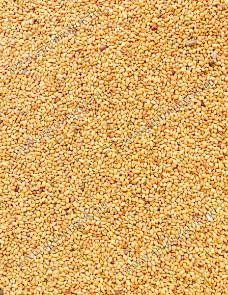 Lucernamag - Fémzárolt Szarvasi AS5 Vetőmag