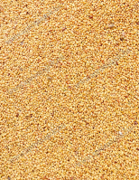 Lucernamag Szarvasi Kinga