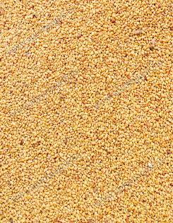 Lucernamag Szarvasi Anna