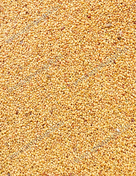 Lucernamag Szarvasi Anna