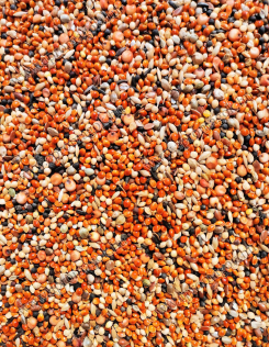 7 Magos Keverék / speciál horgász /