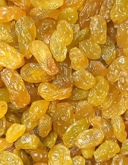 Mazsola arany óriás