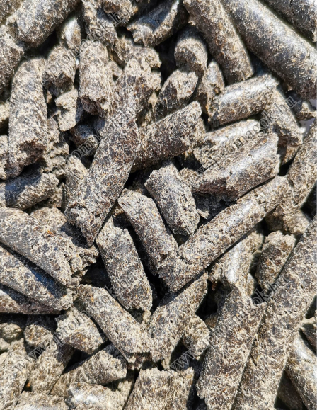 Napraforgó mag pellet