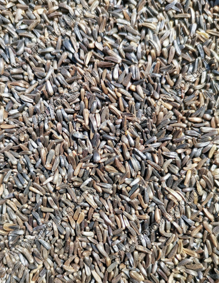 Négermag - takarmányozási célú