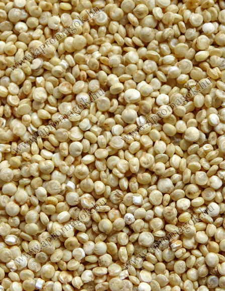 Quinoa