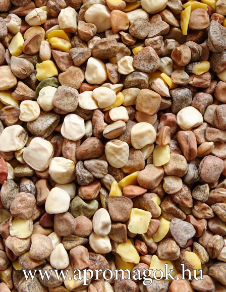 Szegletes Lednek - étkezési