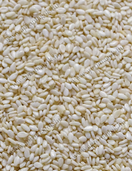 Szezámmag - olajütésre/sajtolásra
