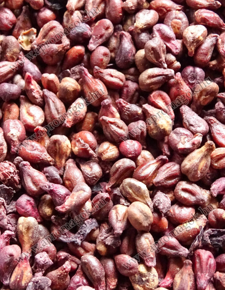 Szőlőmag Édes Vörös