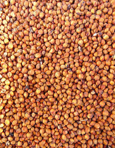 Szudáni Fűmag Mataco