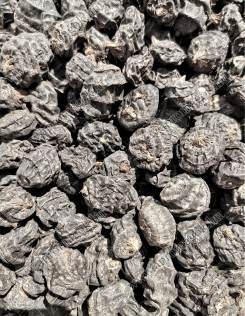 XXL Fekete Tigrismogyoró 14-24 mm