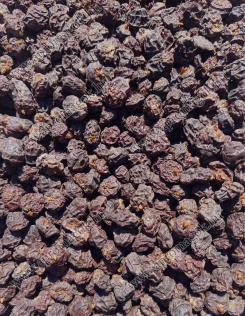 Standard Fekete Tigrismogyoró 8-12 mm