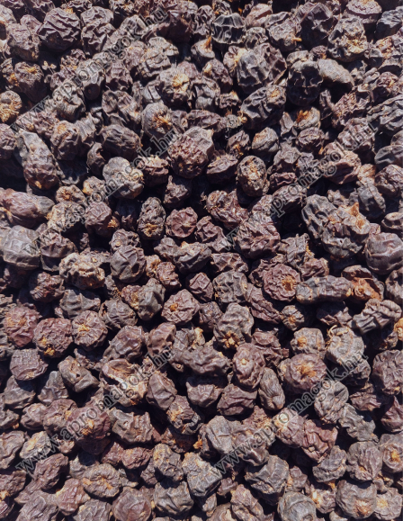 Standard Fekete Tigrismogyoró 8-12 mm