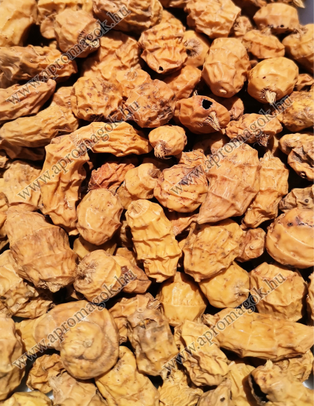 XXL Tigrismogyoró Barna 14-24 mm