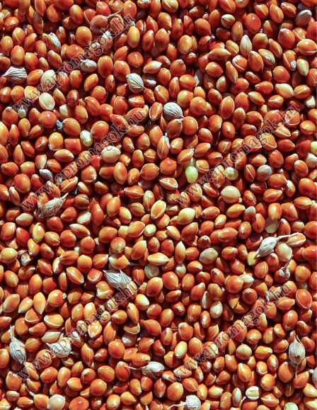 Köles Vörös - horgászathoz